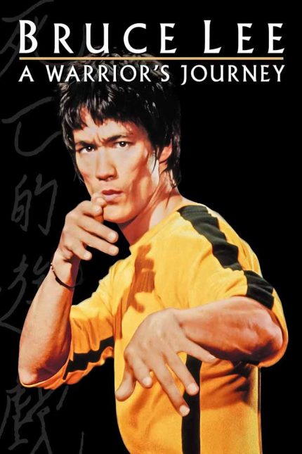 Bruce Lee A Warrior_s Journey 2000 Movie Poster Wall Art