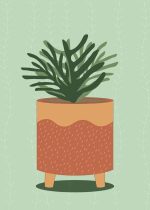 Potted Succulent Illustration - Minimalist Plant Art Print Floral Botanical Flower Print Wall Art Poster