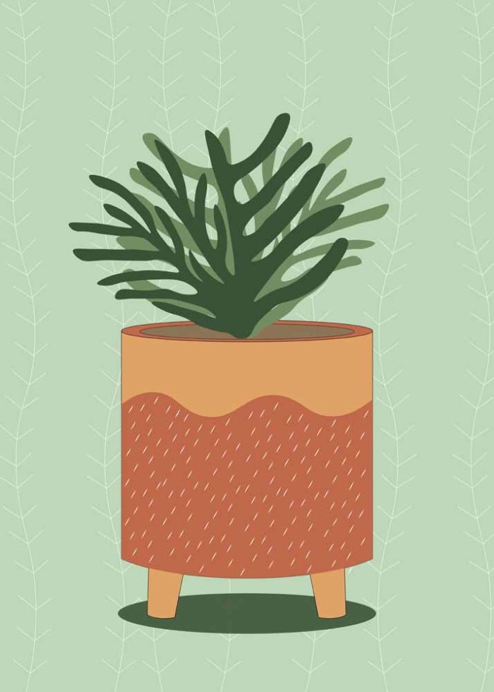 Potted Succulent Illustration - Minimalist Plant Art Print Floral Botanical Flower Print Wall Art Poster - Image 1