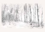 Forest Field AI Print Wall Art Poster
