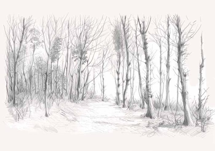 Forest Field AI Print Wall Art Poster - Image 1
