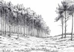 Forest Field AI Print Wall Art Poster