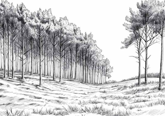 Forest Field AI Print Wall Art Poster - Image 1