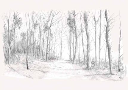 Forest Field AI Print Wall Art Poster