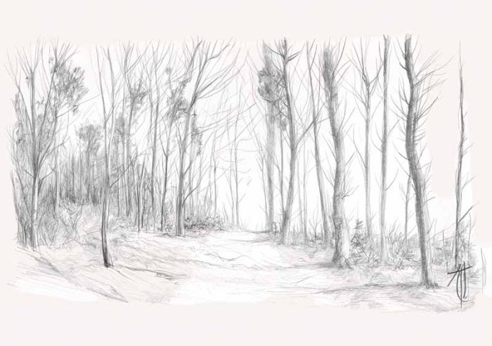 Forest Field AI Print Wall Art Poster - Image 1