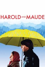 Harold and Maude 1971 Movie Poster Wall Art