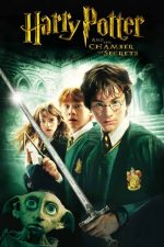 Harry Potter and the Chamber of Secrets 2002 Movie Poster Wall Art
