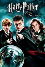 Harry Potter and the Order of the Phoenix 2007 Movie Poster Wall Art