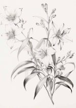 Stunning Oriental Lily Pencil Sketch | Botanical Wall Art Neutral Toned Lily Flower Drawing | Minimalist Botanical Art Neutral Theme Vintage Posters Wall Art Poster