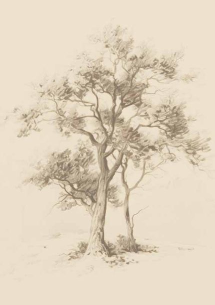 Serene Tree Landscape Drawing | Calming Wall Art Neutral Theme Vintage Posters Wall Art Poster