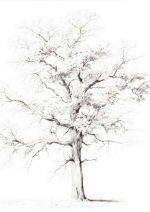 Neutral Theme Vintage Posters Wall Art Poster