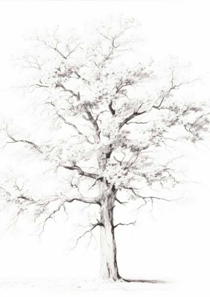 Neutral Theme Vintage Posters Wall Art Poster