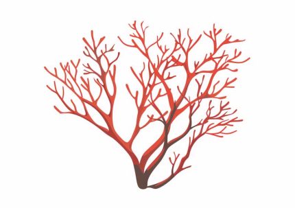 Simple Drawing Indian Red AI Print Wall Art Poster