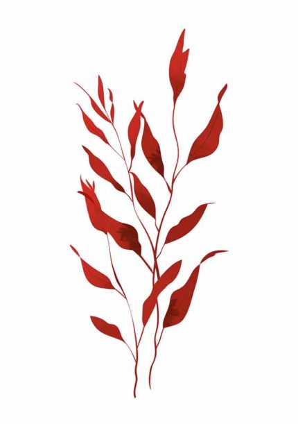 Simple Drawing Indian Red AI Print Wall Art Poster