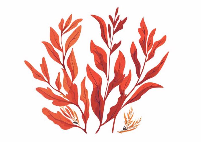 Simple Drawing Indian Red AI Print Wall Art Poster - Image 1