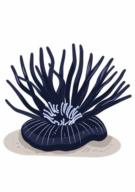 Simple Drawing navy blue AI Print Wall Art Poster