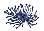 Simple Drawing navy blue AI Print Wall Art Poster