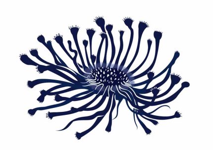 Simple Drawing navy blue AI Print Wall Art Poster
