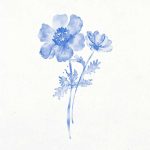 Square Wall Art Premium Print Wall Art Poster
