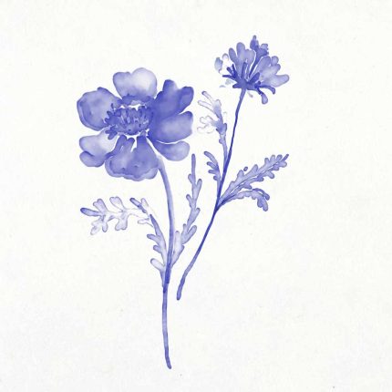 Square Wall Art Premium Print Wall Art Poster