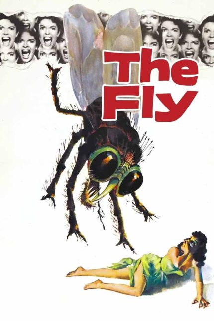 The Fly 1958 Movie Poster Wall Art