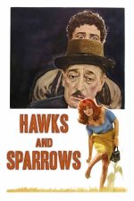 The Hawks and the Sparrows 1966 Movie Poster Wall Art