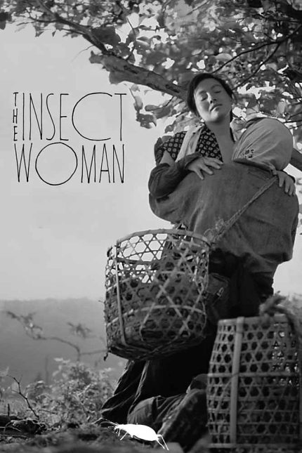 The Insect Woman 1963 Movie Poster Wall Art