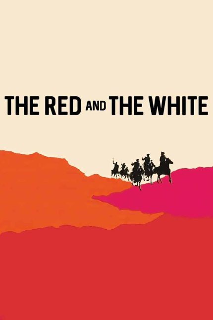 The Red and the White 1967 Movie Poster Wall Art