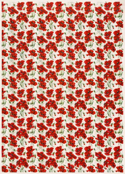 Trendy-Colorful-Poster Wall Art