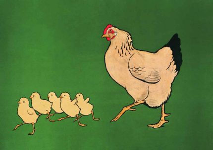 Chicken And Chickes Trendy Colorful Poster Wall Art