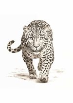 Eclectic Trendy Colorful Wall Art Poster