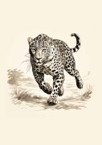 Eclectic Trendy Colorful Wall Art Poster