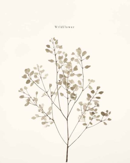 Neutral Theme Natural Color Vintage Posters Wall Art Poster